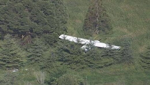اخبار آنلاین - تصاویر | اولین تصاویر از هواپیمای پلیس تخریب شده که در آن دو خلبان کشته شده اند