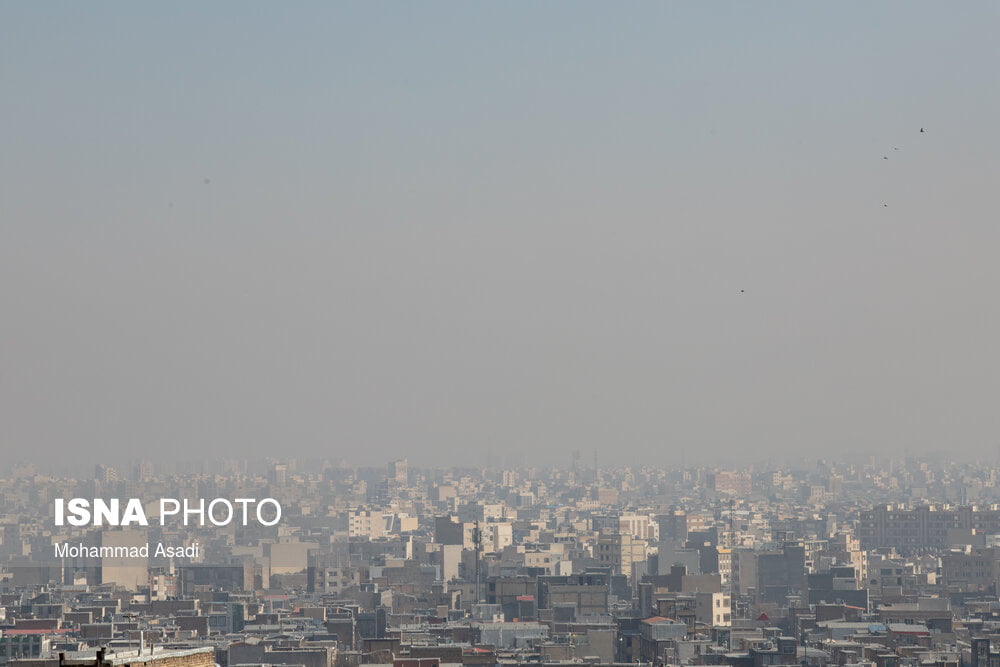 منوی غذای سالم برای روزهای آلوده