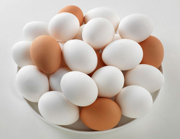 تخم مرغ و شیر ؛  پروتئین ، حتی برای گیاهخواران