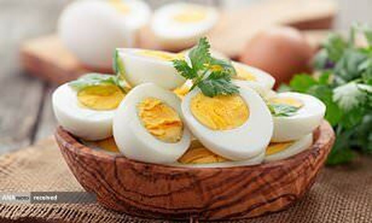مصرف روزانه ۲ عدد تخم مرغ را در برنامه غذایی بگنجانید