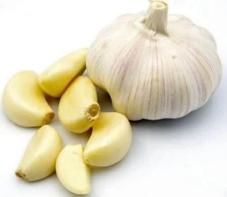 سیر سیاه یک راه حل طبیعی برای مبارزه با عفونت های باکتریایی