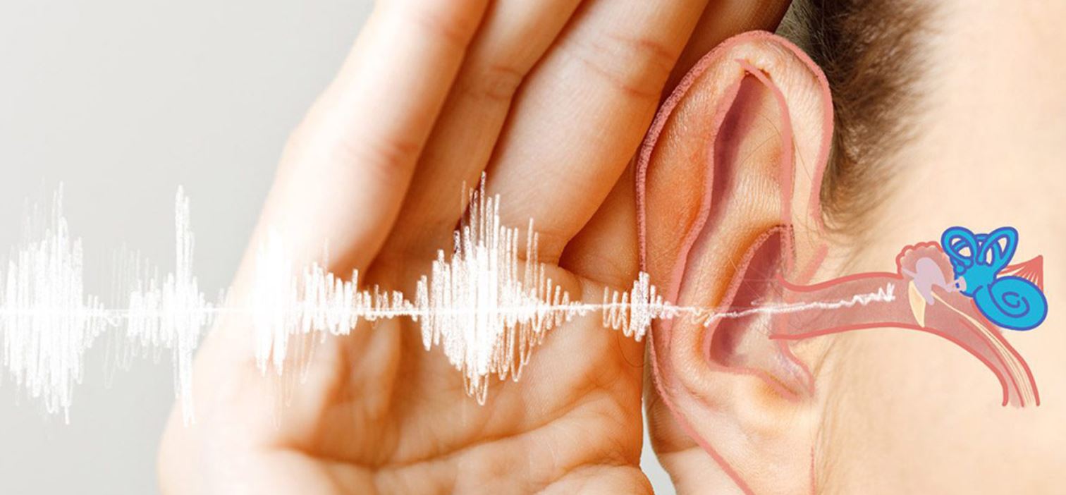 ادیولوژیست یا شنوایی سنج کیست؟