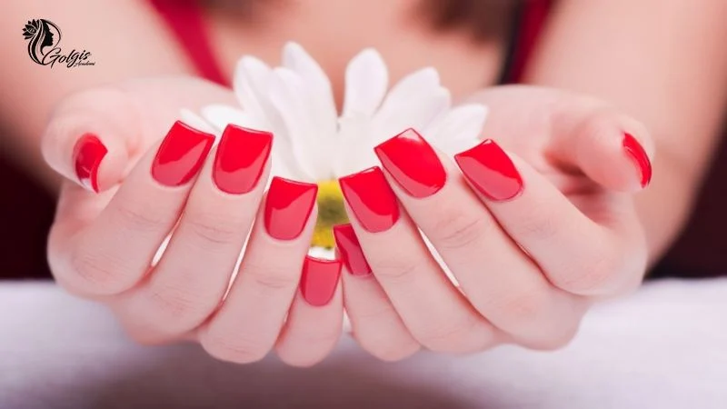 40 ابزار و وسایل مورد نیاز برای آموزش کاشت ناخن