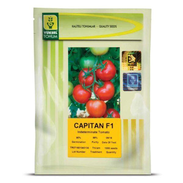 بذر گوجه گلخانه ای(قیمت و خرید)