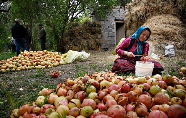 تازه‌ترین آمار ایجاد اشتغال در مناطق روستایی