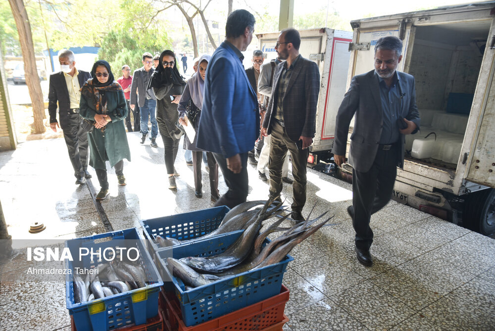 میدان مرکزی میوه اصفهان سردخانه ندارد/ ساخت بازار بزرگ گل و گیاه ارغوانیه در ۷ طبقه