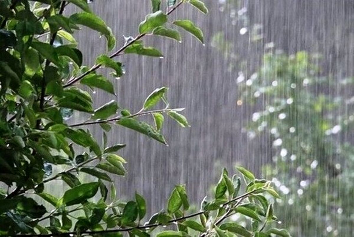 هشدار تشدید بارش‌ها و خسارت به محصولات کشاورزی در ۳ استان کشور