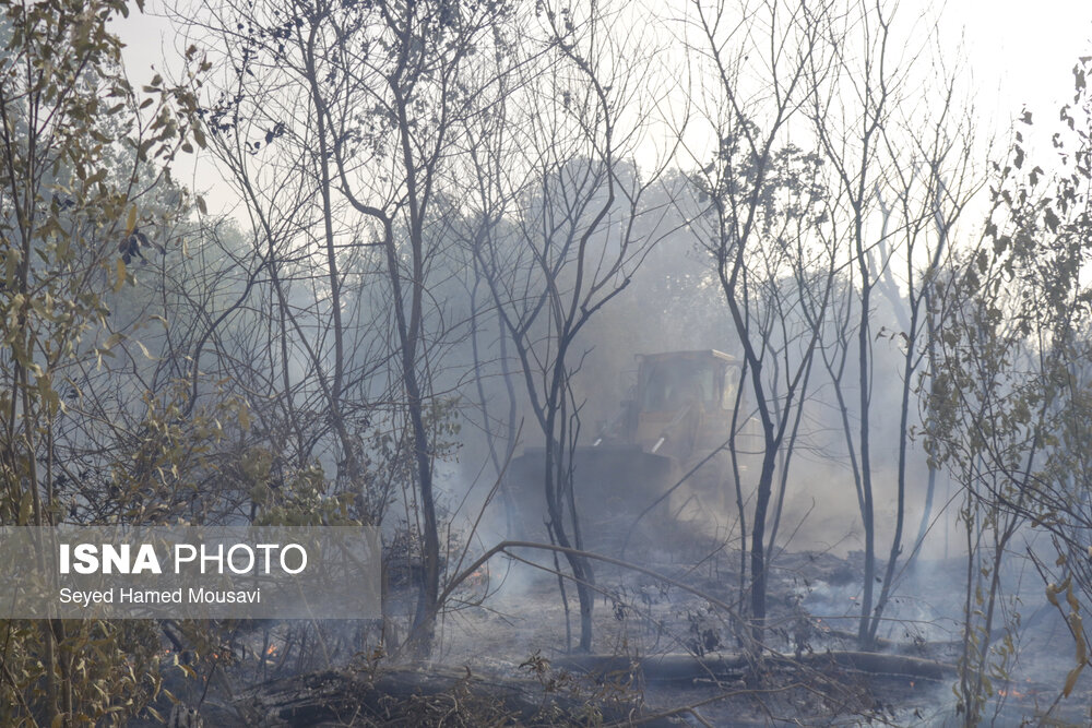 شناسایی ‌چند نفر از عاملان آتش‌سوزی‌های اخیر جنگل‌های کرخه