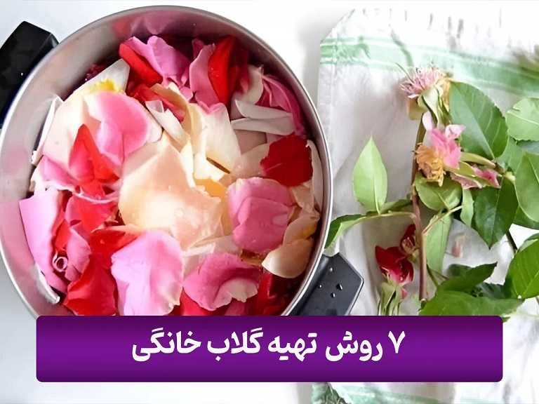 چطور گلاب درست کنیم و 7 روش طرز تهیه گلاب خانگی