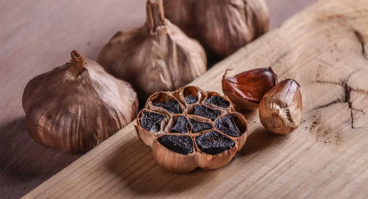 روش تولید و طرز تهیه سنتی سیر سیاه