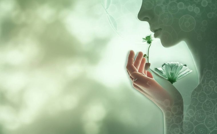 آیا زگیل تناسلی باعث ناباروری در زنان می شود؟ آیا زگیل تناسلی باعث ناباروری در زنان می شود؟