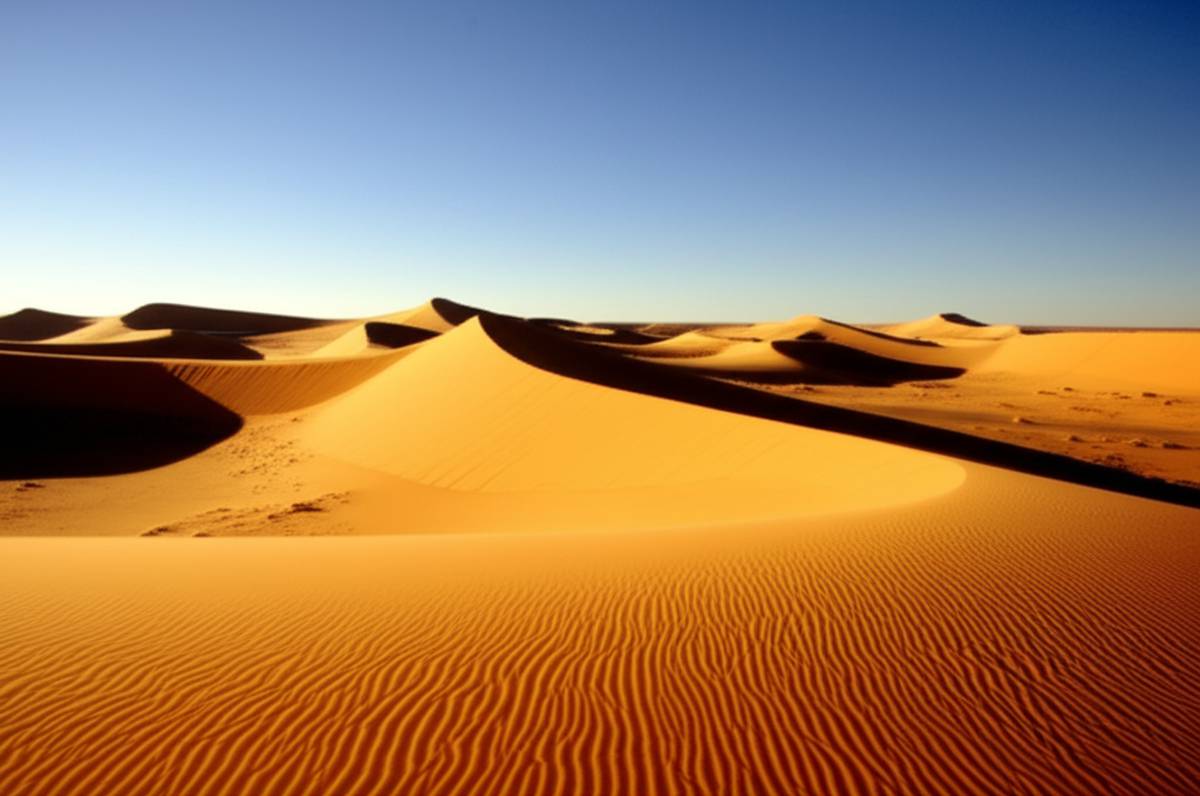 بهترین زمان سفر به کویر: راهنمای کامل انتخاب فصل مناسب